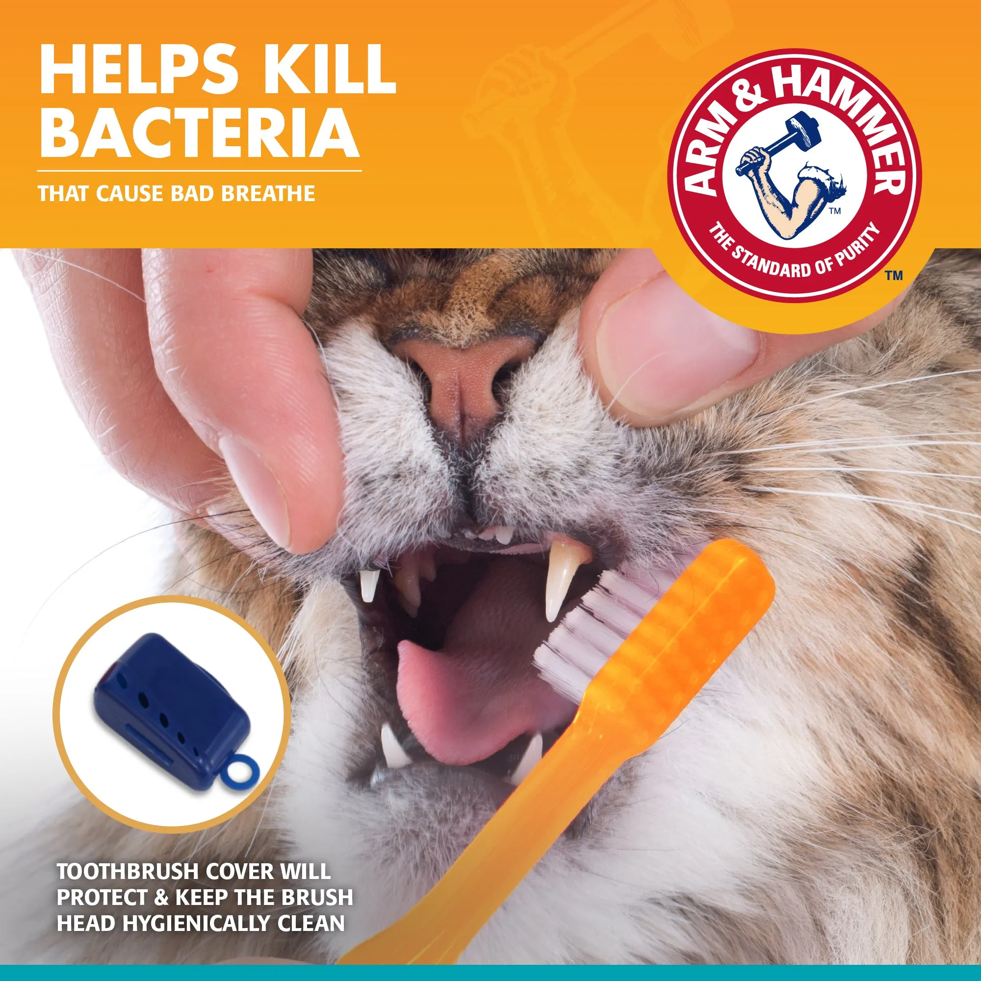 Arm and Hammer Fresh Breath Dental Kit for Kittens Tuna