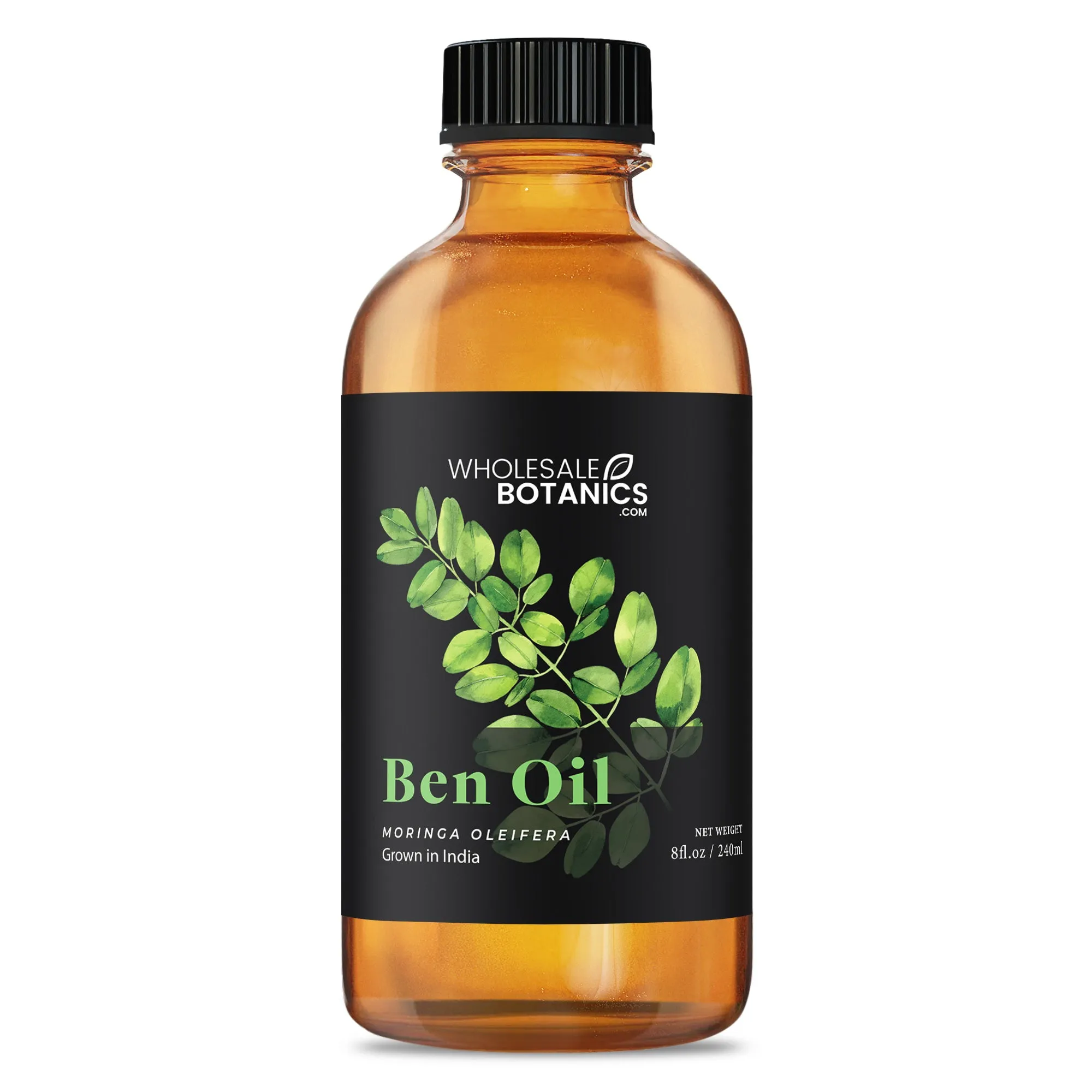 Ben Oil