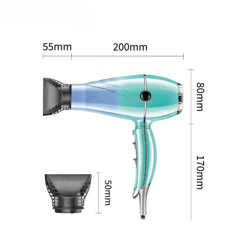 High Power Professional Hair Dryer