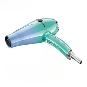 High Power Professional Hair Dryer