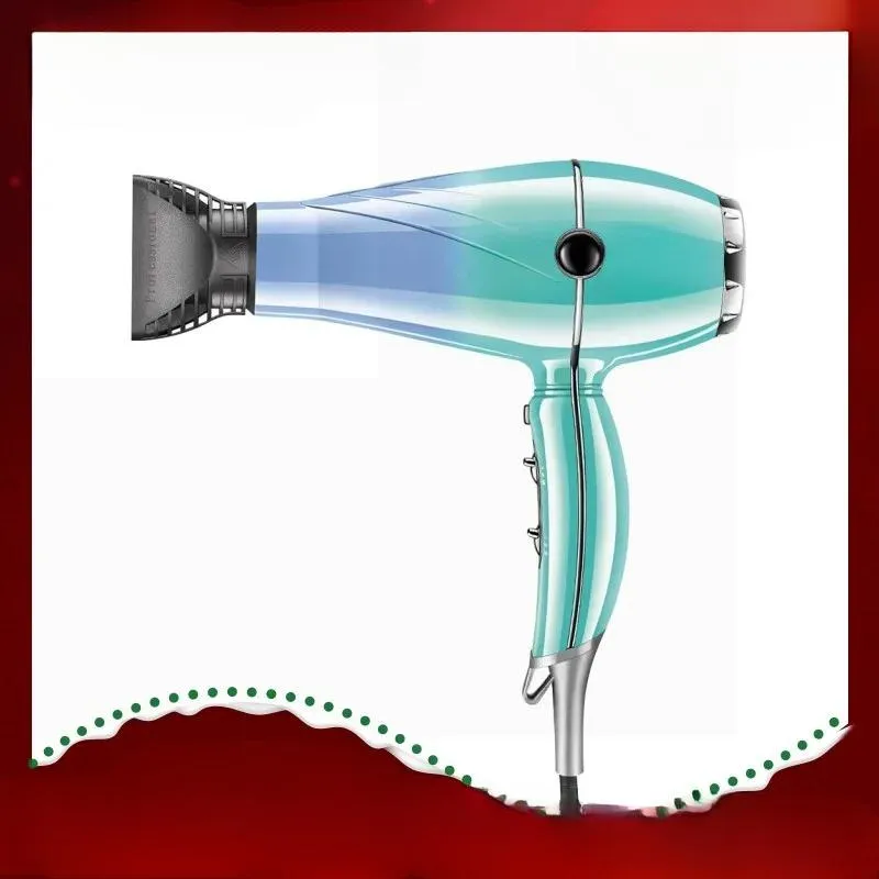 High Power Professional Hair Dryer