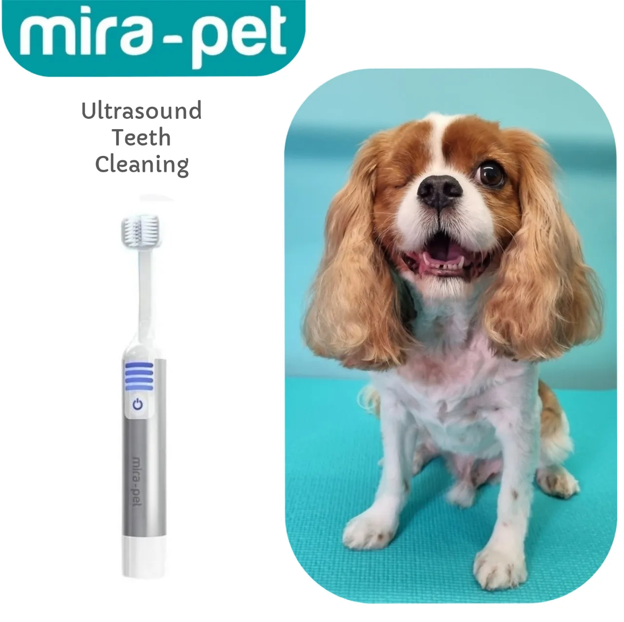 Mira Pet Professional Starter Kit