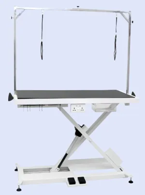 Pet-Agree X-Style Electric Lifting Table - 50" Top