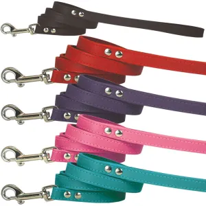 Spike & Stud Signature Leash, Pink, 3/4" x 4'